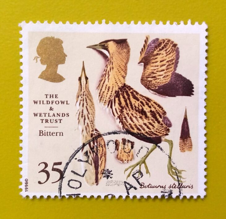 Issue:         Great Britain (Botaurus stellaris) Bittern 1996 Stamp Type:         Stamp Number of Stamps:           1 Stamps Denomination:         35 P, Issue Date:          1996 Issued By:         Royal Mail, United Kingdom 