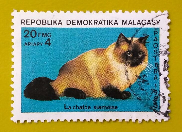 Issue:        Republic Malagasy The Siamese Cat 1985 Stamp Type:         Stamp Number of Stamps:         2 Denominations:           20 FMG, Issue Date:           1985 Issued By:       Madagascar Post 