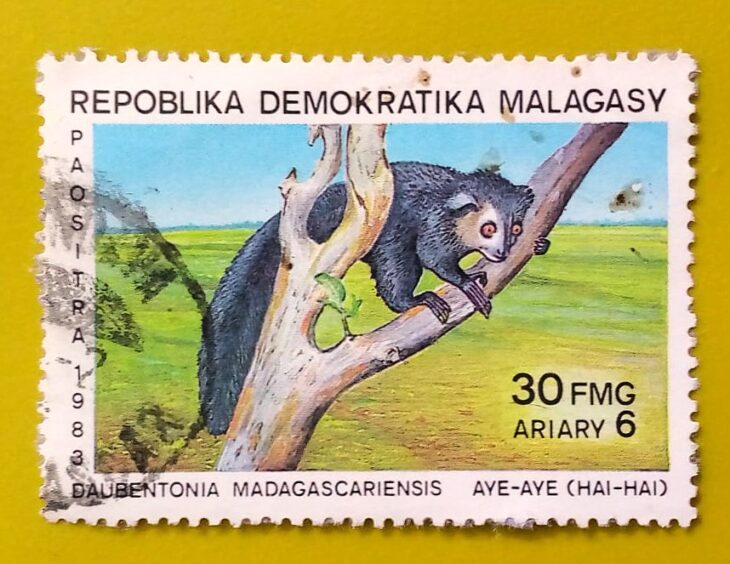 Issue:        Republic Malagasy Aye aye 1983 Stamp Type:         Stamp Number of Stamps:         1 Denominations:           30 FMG, Issue Date:           1983 Issued By:       Madagascar Post 