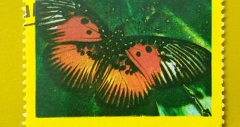 Issue:      Bahrain (Manama) Dependency of Ajman Butterfly 1969–1972 Stamp Type:      Stamp Number of Stamps:       1 Denominations:         75 Dirham,       Issue Date:        1969–1972 Issued By:      Bahrain Post 