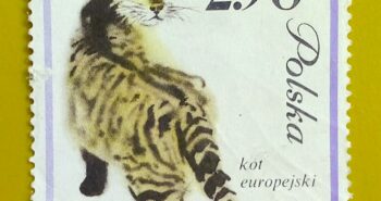 Issue:     Russia European Cat Tabby 1964 Stamp Type:     Stamp Number of Stamps:      1 Stamps Denomination:      2.50 ZL Issue Date:      1964 Issued By:      Russia POST 