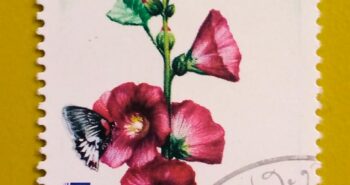 Issue:        Laos Flower Alcea rosea (hollyhock) 1988 Stamp Type:         Stamp Number of Stamps:        1 Denominations:         9 K, Issue Date:         1988 Issued By:       Laos Post