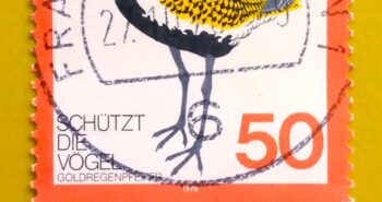 Issue:        Germany Protects the Birds 1976 Stamp Type:       Stamp Number of Stamps:        1 Denominations:          50  PF, Issue Date:          1976 Issued By:       Germany Deutsche Post ( Deutschland ) 