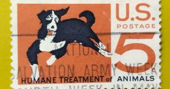 Issue:      U.S. Humane Treatment of Animals 1966 Stamp Type:       Stamp Number of Stamps:         1 Stamps Denomination:         5 C, Issue Date:        1966 Issued By:      United States Postal Service (USPS)