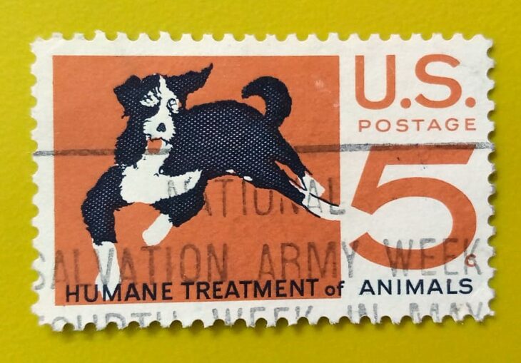 Issue:      U.S. Humane Treatment of Animals 1966 Stamp Type:       Stamp Number of Stamps:         1 Stamps Denomination:         5 C, Issue Date:        1966 Issued By:      United States Postal Service (USPS)