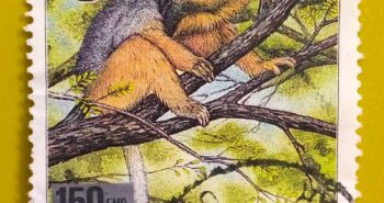 Issue:        Malagasy Madagascar (WWF) Diademed sifaka 1988 Stamp Type:         Stamp Number of Stamps:         1 Denominations:          150 FMG,  30 Ariary, Issue Date:           1988 Issued By:       Madagascar ( Post) 