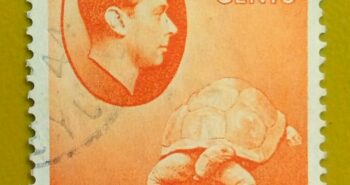 Issue:        Seychelles King George VI (Giant Tortoise) 3c 1938 Stamp Type:         Stamp Number of Stamps:        1 Denominations:         3 C, Issue Date:         1938 Issued By:      Seychelles Post