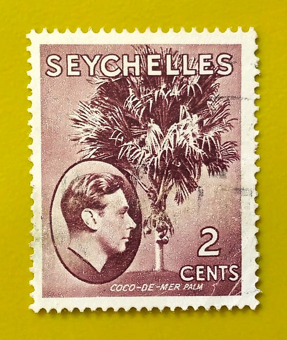 Issue:       Seychelles King George VI Coco-de-mer Palm 1938-49 Stamp Type:       Stamp Number of Stamps:       1 Stamps Denomination:        2 C, Issue Date:        1938-49  Issued By:       Seychelles Post
