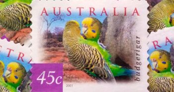 Issue:      Australia Budgerigar 2001 Stamp Type:       Stamp Number of Stamps:      9 Denominations:         45 C, Issue Date:        2001 Issued By:      Australia Post 