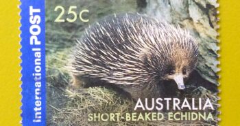 Issue:      Australian (Byron Bay) New South Wales 2000 Stamp Type:     Stamp Number of Stamps:      1 Stamps Denomination:        25 C, Issue Date:         2006 Issued By:     Australia Post 