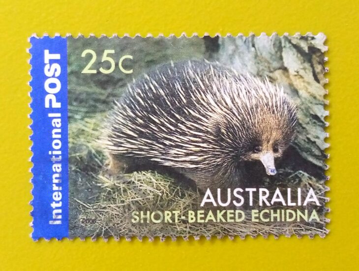 Issue:      Australian (Byron Bay) New South Wales 2000 Stamp Type:     Stamp Number of Stamps:      1 Stamps Denomination:        25 C, Issue Date:         2006 Issued By:     Australia Post 