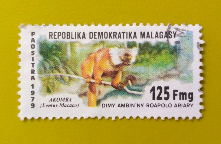 Issue:        Madagascar Republic (Malagasy) Black lemur (Lemur macaco) 1979 Stamp Type:       Stamp Number of Stamps:         1 Denominations:          125 FMG,  Issue Date:          1989 Issued By:       Madagascar ( Post)