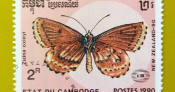 Issue:        Cambodia (They are Called Oxley) Butterfly 1990 Stamp Type:      Stamp Number of Stamps:          1 Denominations:           2 R, Issue Date:           1990 Issued By:      Cambodia Post