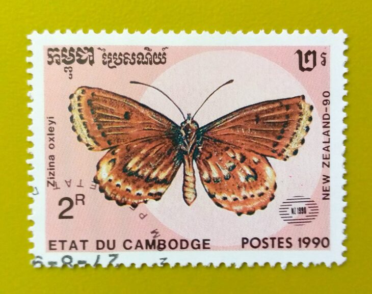 Issue:        Cambodia (They are Called Oxley) Butterfly 1990 Stamp Type:      Stamp Number of Stamps:          1 Denominations:           2 R, Issue Date:           1990 Issued By:      Cambodia Post