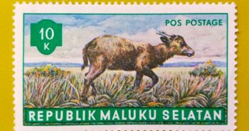 Issue:      Republic of South Maluku Mountain anoa 10k 1955 Stamp Type:      Stamp Number of Stamps:         1 Stamps Denomination:           10 K,   Issue Date:         1955 Issued By:        Indonesia post 