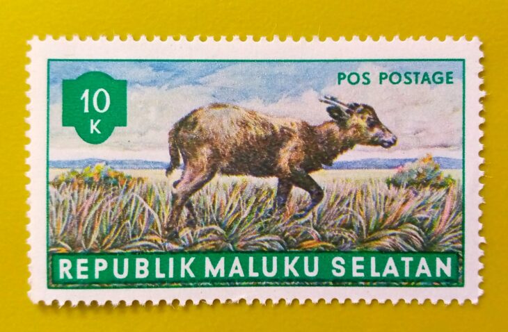 Issue:      Republic of South Maluku Mountain anoa 10k 1955 Stamp Type:      Stamp Number of Stamps:         1 Stamps Denomination:           10 K,   Issue Date:         1955 Issued By:        Indonesia post 