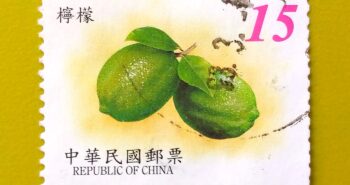 Issue:        Republic of China lemon 15¥ Stamp Type:       Stamp Number of Stamps:         1 Denominations:         15  yuan, Issue Date:           Issued By:        China post 