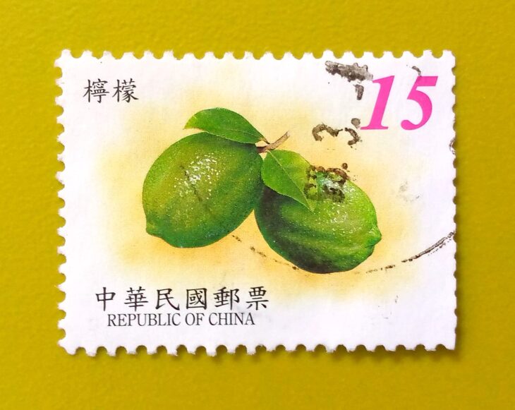 Issue:        Republic of China lemon 15¥ Stamp Type:       Stamp Number of Stamps:         1 Denominations:         15  yuan, Issue Date:           Issued By:        China post 