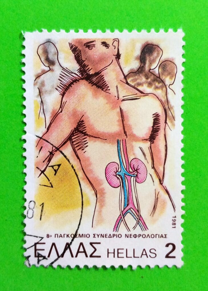 Issue:       Greece 80th World Congress of Nephrology 1981 Stamp Type:       Stamp Number of Stamps:          1 Denominations:          2 Dr, Issue Date:        1981 Issued By:     Greece Post 