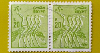Issue:      Egypt Wading Birds Stamp Type:      Stamp Number of Stamps:       2 Stamps Denomination:        20 P, Issue Date:       Issued By:      Egypt Post