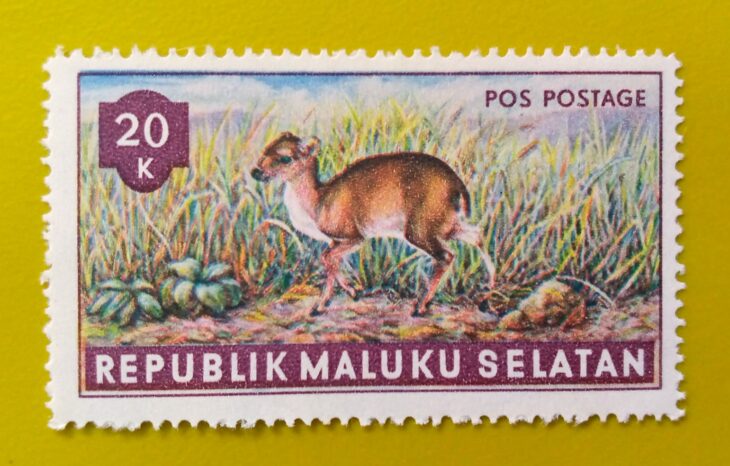 Issue:      Republic of South Maluku Mouse Deer 20k 1953 Stamp Type:      Stamp Number of Stamps:        1 Stamps Denomination:        20 K,   Issue Date:       1953 Issued By:      Indonesia post 