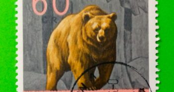 Issue:     Poland Brown Bear 1965 Stamp Type:     Stamp Number of Stamps:       1 Stamps Denomination:       60 Gr, Issue Date:      1965 Issued By:     Poland POST 