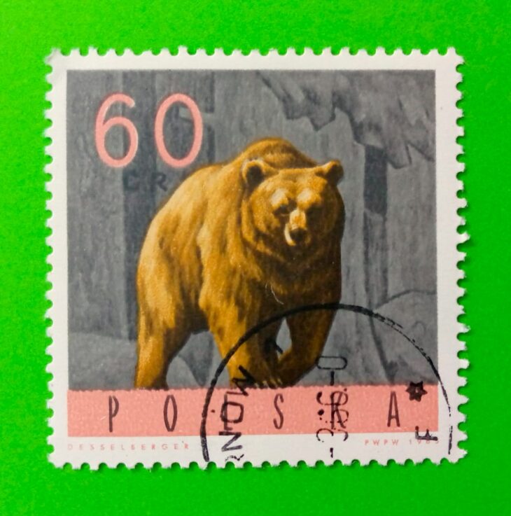 Issue:     Poland Brown Bear 1965 Stamp Type:     Stamp Number of Stamps:       1 Stamps Denomination:       60 Gr, Issue Date:      1965 Issued By:     Poland POST 