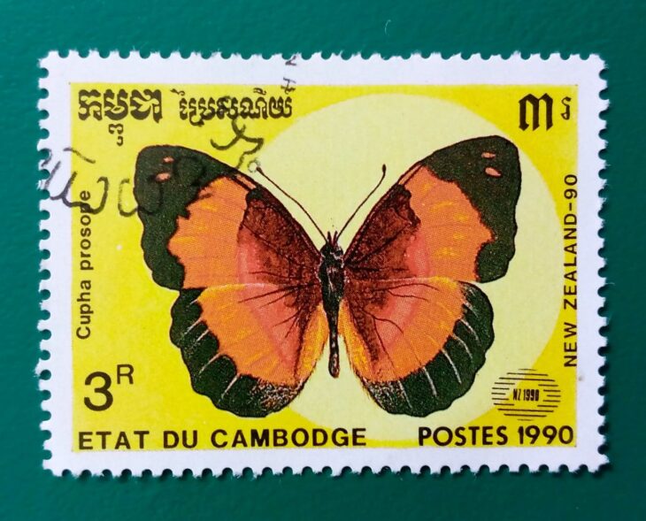 Issue:        Cambodia (Cupha Prosope) Butterfly 1990 Stamp Type:      Stamp Number of Stamps:          1 Denominations:           3 R, Issue Date:           1990 Issued By:      Cambodia Post