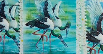Issue:      Australia Black-Necked Stork 1991 Stamp Type:       Stamp Number of Stamps:        12 Denominations:         43 c, Issue Date:       1991 Issued By:      Australia Post 