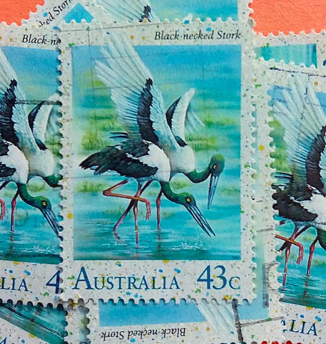 Issue:      Australia Black-Necked Stork 1991 Stamp Type:       Stamp Number of Stamps:        12 Denominations:         43 c, Issue Date:       1991 Issued By:      Australia Post 
