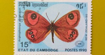 Issue:        Cambodia (Argyrophenga Antipodum) Butterfly 1990 Stamp Type:      Stamp Number of Stamps:          1 Denominations:           15 R, Issue Date:           1990 Issued By:      Cambodia Post 