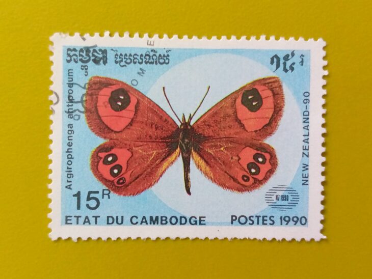 Issue:        Cambodia (Argyrophenga Antipodum) Butterfly 1990 Stamp Type:      Stamp Number of Stamps:          1 Denominations:           15 R, Issue Date:           1990 Issued By:      Cambodia Post 