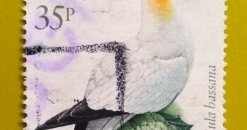 Issue:        Great Britain Gannet (Bird) 1989 Stamp Type:       Stamp Number of Stamps:        1 Stamps Denomination:        35 P, Issue Date:        1989 Issued By:       Royal Mail, United Kingdom 