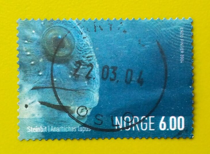 Issue:        Norway Atlantic wolfish Anarhichas lupus Stamp Type:       Stamp Number of Stamps:         3 Denominations:          6.00  K,  Issue Date:          2004 Issued By:        Norway Post 