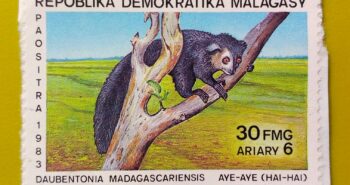 Issue:      Madagascar Republic (Malagasy) Animal Aye-Aye 1983 Stamp Type:       Stamp Number of Stamps:         1 Denominations:        3o FMG,  6 Ariary, Issue Date:         1983 Issued By:       Madagascar ( Post) 