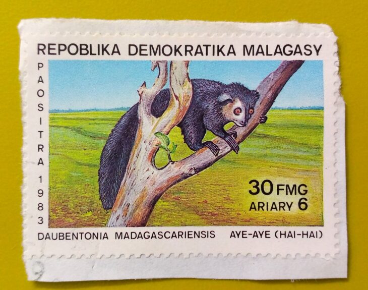 Issue:      Madagascar Republic (Malagasy) Animal Aye-Aye 1983 Stamp Type:       Stamp Number of Stamps:         1 Denominations:        3o FMG,  6 Ariary, Issue Date:         1983 Issued By:       Madagascar ( Post) 