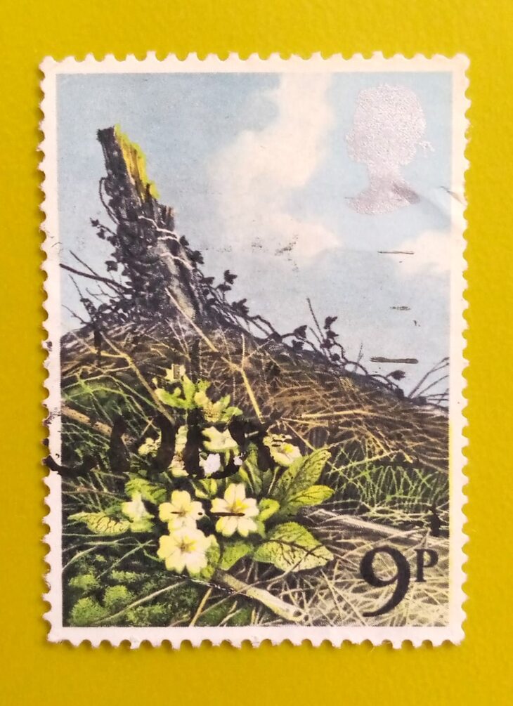 Issue:     Great Britain Wild Flowers (Primrose) 1979 Stamp Type:     Stamp Number of Stamps:       2 Stamps Denomination:        9​​ p, Issue Date:      1979 Issued By:     Royal Mail, United Kingdom