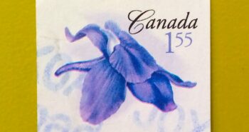 Issue:       Canada Little Larkspur Stamp Type:      Stamp Number of Stamps:       1 Denominations:          1.55 $, Issue Date:          2006 Issued By:     Canada post 
