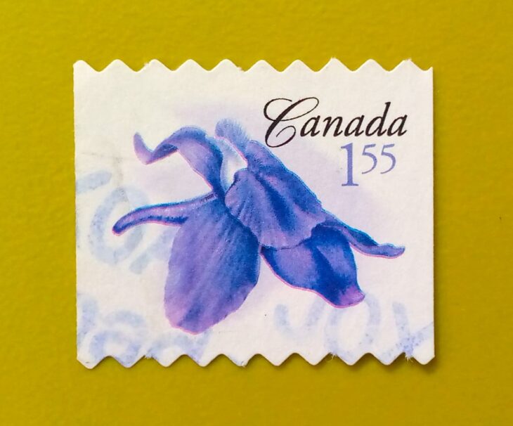 Issue:       Canada Little Larkspur Stamp Type:      Stamp Number of Stamps:       1 Denominations:          1.55 $, Issue Date:          2006 Issued By:     Canada post 