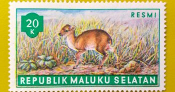 Issue:      Republic of South Maluku Maxwell's Duiker 1953 20k Stamp Type:      Stamp Number of Stamps:        1 Stamps Denomination:         20 K,   Issue Date:         1953 Issued By:      Indonesia post 