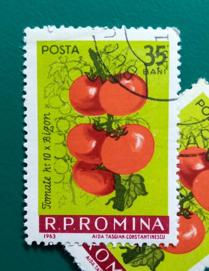 Issue:       Romania Tomatoes 1963 Stamp Type:        Stamp Number of Stamps:        1 Stamps Denomination:          35 B, Issue Date:          1963 Issued By:      Romania Post 