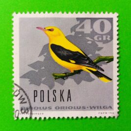 Issue:     Poland Eurasian Golden Oriole 1966 Stamp Type:     Stamp Number of Stamps:       1 Stamps Denomination:         40 Gr, Issue Date:        1966 Issued By:     Poland POST 