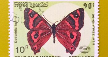 Issue:          Cambodia (Dodonidia Helmsi) Butterfly 1990 Stamp Type:      Stamp Number of Stamps:        1 Denominations:           10 R, Issue Date:          1990 Issued By:      Gibraltar Post 