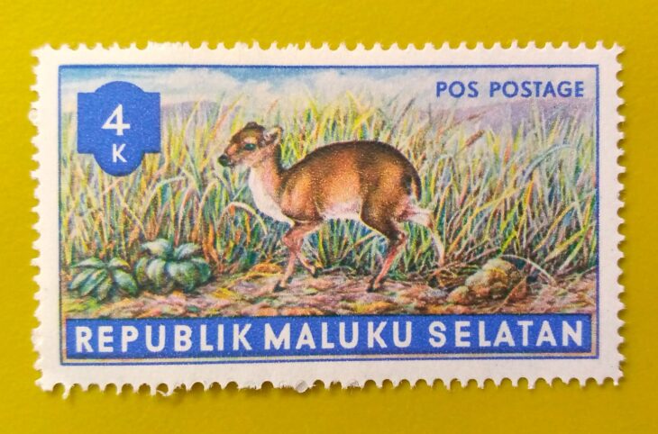 Issue:      Republic of South Maluku Mouse Deer 1953 Stamp Type:      Stamp Number of Stamps:        1 Stamps Denomination:        4 K,   Issue Date:       1953 Issued By:      Indonesia post 