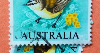 Issue:      Australia Yellow-Rumped Thornbill 1966 Stamp Type:       Stamp Number of Stamps:        2 Denominations:         5 C, Issue Date:        1966 Issued By:      Australia Post 