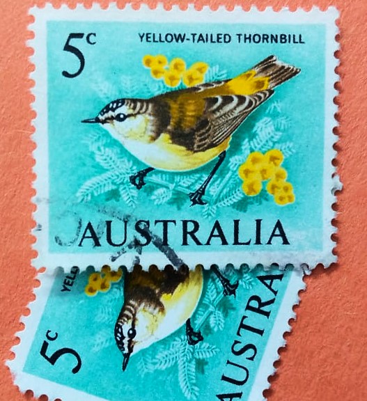 Issue:      Australia Yellow-Rumped Thornbill 1966 Stamp Type:       Stamp Number of Stamps:        2 Denominations:         5 C, Issue Date:        1966 Issued By:      Australia Post 