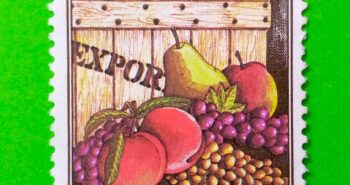 Issue:       Greece Fruits 1981 Stamp Type:       Stamp Number of Stamps:          1 Denominations:          17 Dr, Issue Date:        1981 Issued By:     Greece Post 