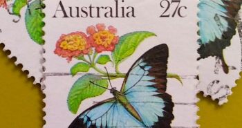 Issue:      Australia Ulysses Butterfly 1983 Stamp Type:       Stamp Number of Stamps:        3 Denominations:         27 C, Issue Date:        1983 Issued By:      Australia Post