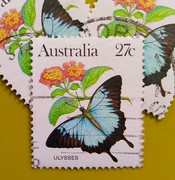 Issue:      Australia Ulysses Butterfly 1983 Stamp Type:       Stamp Number of Stamps:        3 Denominations:         27 C, Issue Date:        1983 Issued By:      Australia Post