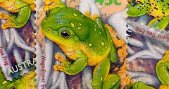 Issue:      Australia Magnificent Tree Frog 1999 Stamp Type:       Stamp Number of Stamps:        7 Denominations:         45 c, Issue Date:        1999 Issued By:      Australia Post
